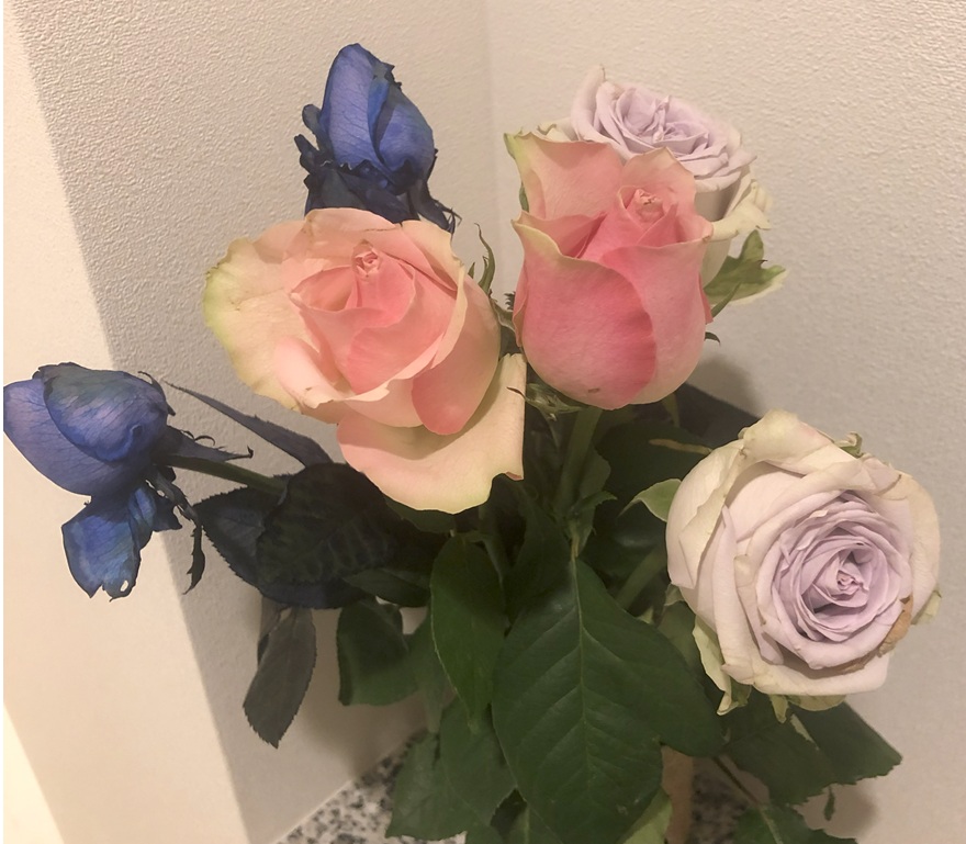 ばら3日目
