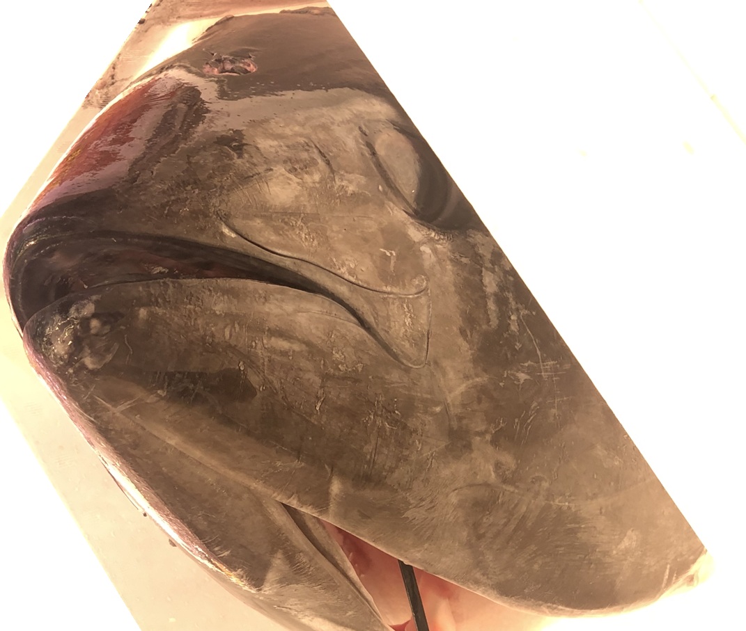 魚で美容
